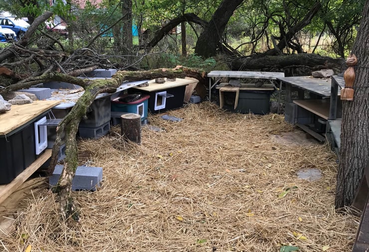 2 cropped copy 2 cropped copy