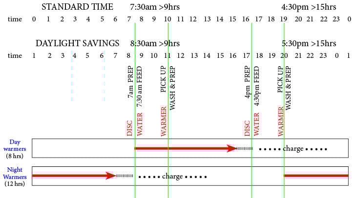 Colony Feeding Schedule