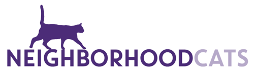 Screen Shot 2025-12-03 at 18.37.24 Screen Shot 2025-12-03 at 18.37.24