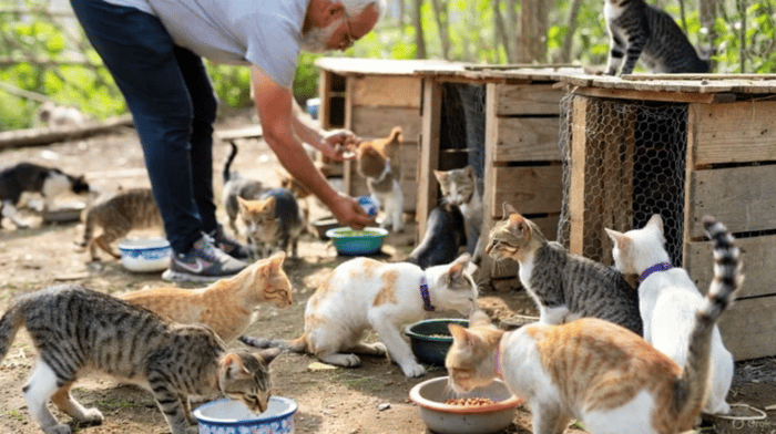 Screen Shot 2026-02-07 at 05.48.40 Screen Shot 2026-02-07 at 05.48.40