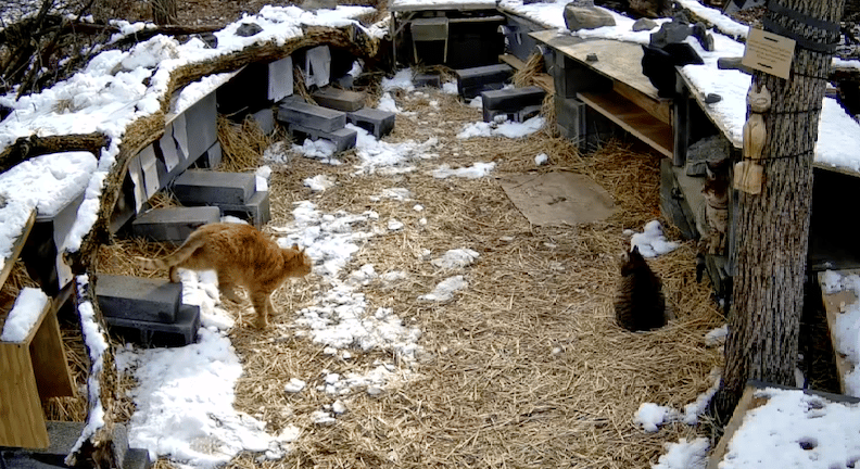 Screen Shot 2026-02-26 at 17.29.08 Screen Shot 2026-02-26 at 17.29.08