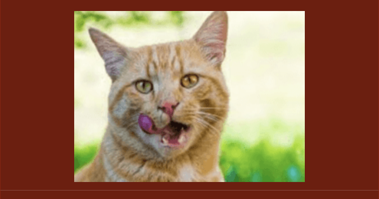 Screen Shot 2026-03-25 at 13.03.46 Screen Shot 2026-03-25 at 13.03.46