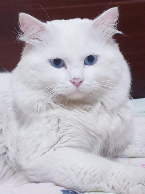 Untitled 3-Nov-28-2025-01-06-06-0136-AM