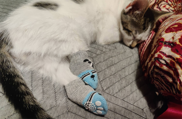 2b4279d3-73c1-d78b-2fb3-e16b7fd629d6 2b4279d3-73c1-d78b-2fb3-e16b7fd629d6