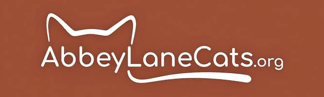 LOGO - BROWN LOGO - BROWN