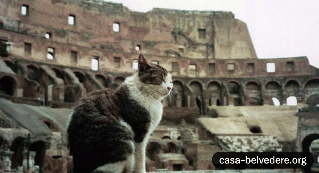 Screen Shot 2026-01-01 at 11.56.21