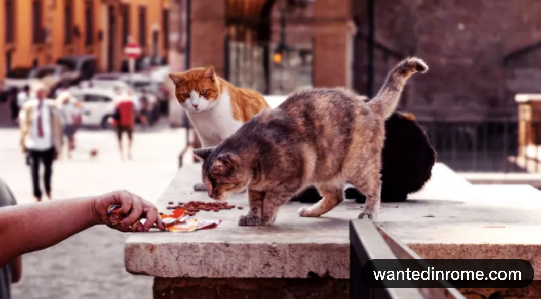 Screen Shot 2026-01-01 at 11.56.39