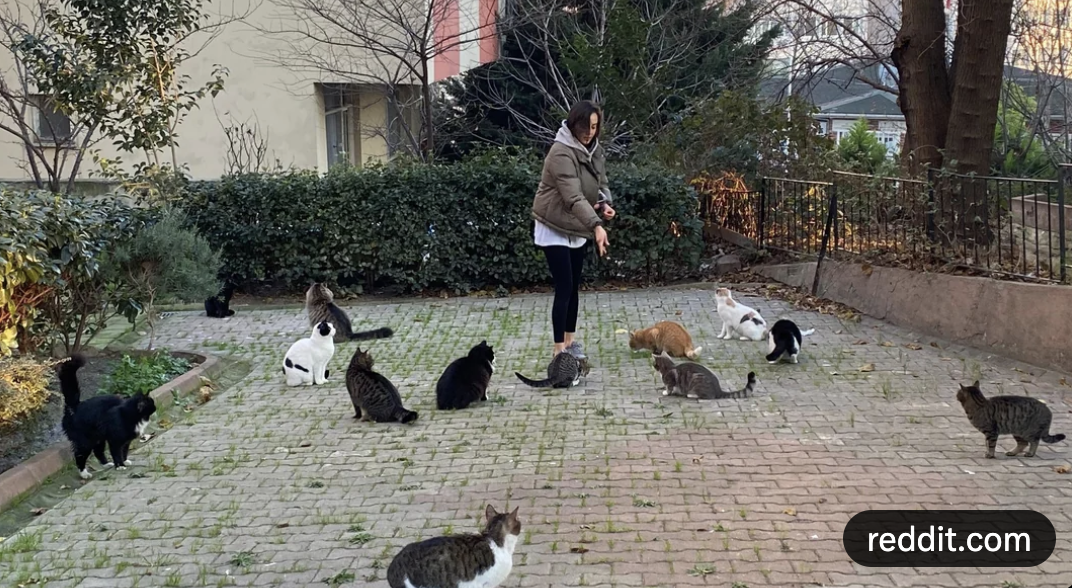 Screen Shot 2026-01-01 at 11.56.59