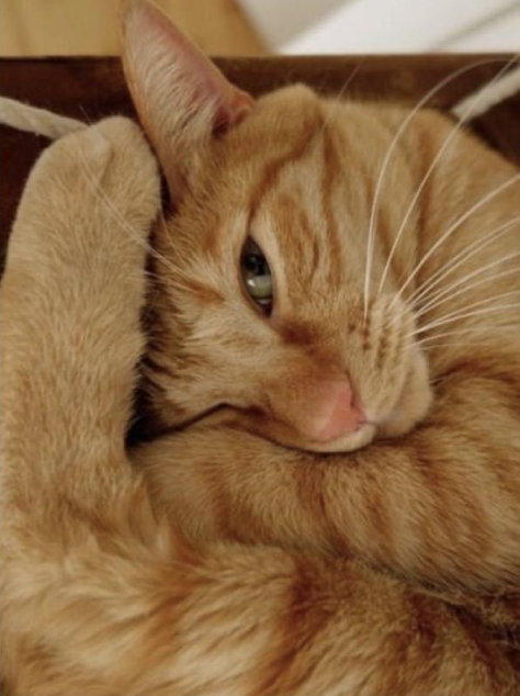 Untitled 1 Untitled 1