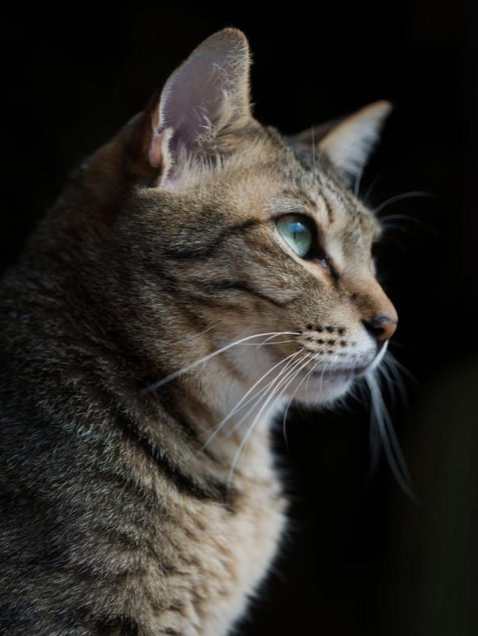 Untitled 3-1 Untitled 3-1