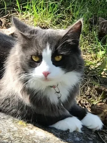 Untitled 3-2 Untitled 3-2