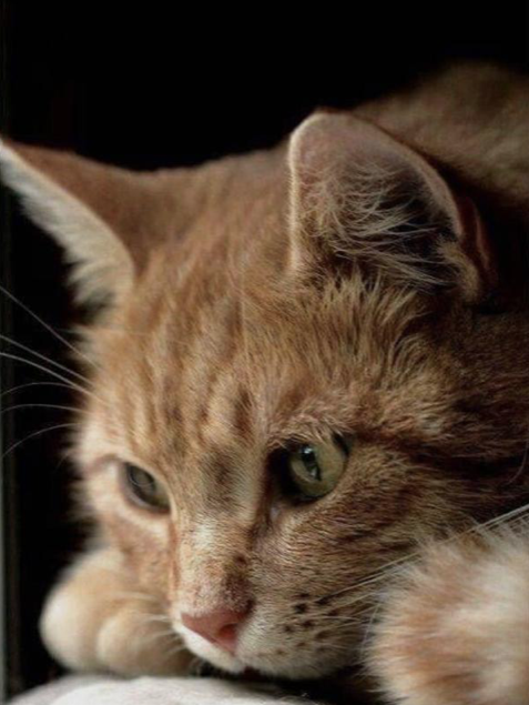 Untitled 3 Untitled 3